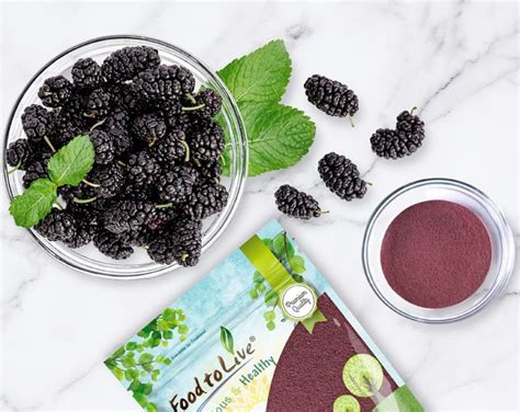 mulberry powder wholesale